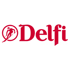DELFI GROUP